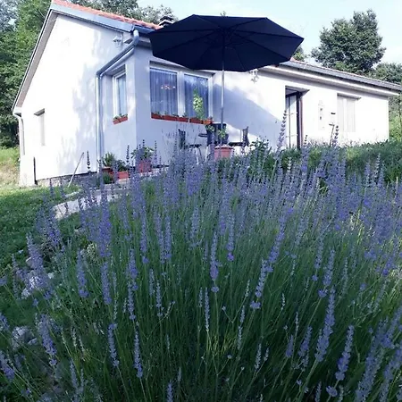 Sara Apartman *
