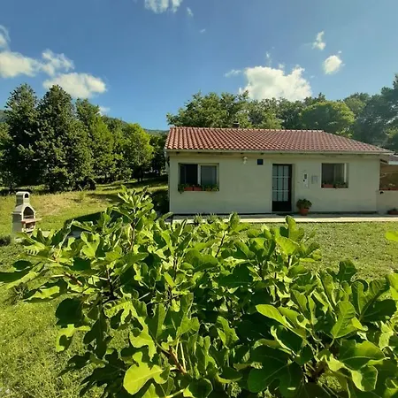 Sara Apartamento